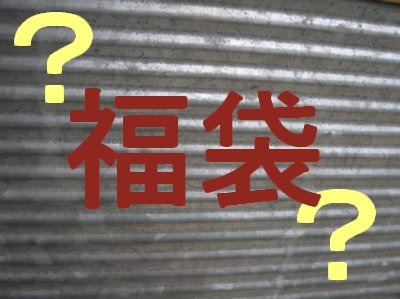 ̑ 2010N@܁@AJ [fu04]
